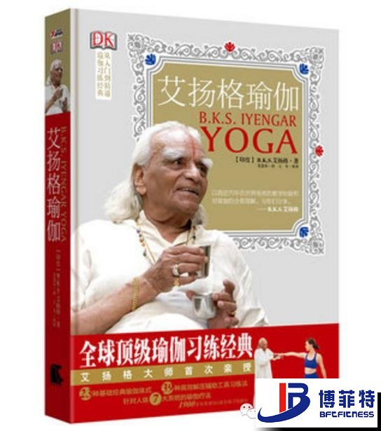 艾揚格瑜伽：精準習練指南